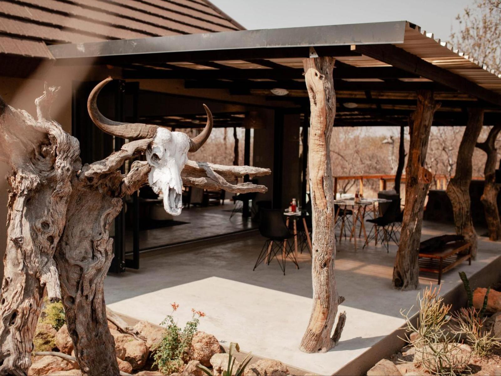 Maroelani Lodge- Greater Kruger Private Reserve Hoedspruit Eksteriør bilde