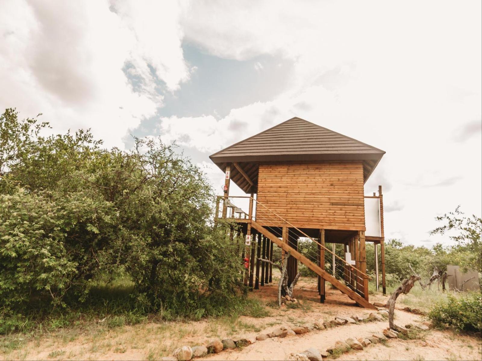 Maroelani Lodge- Greater Kruger Private Reserve Hoedspruit Eksteriør bilde