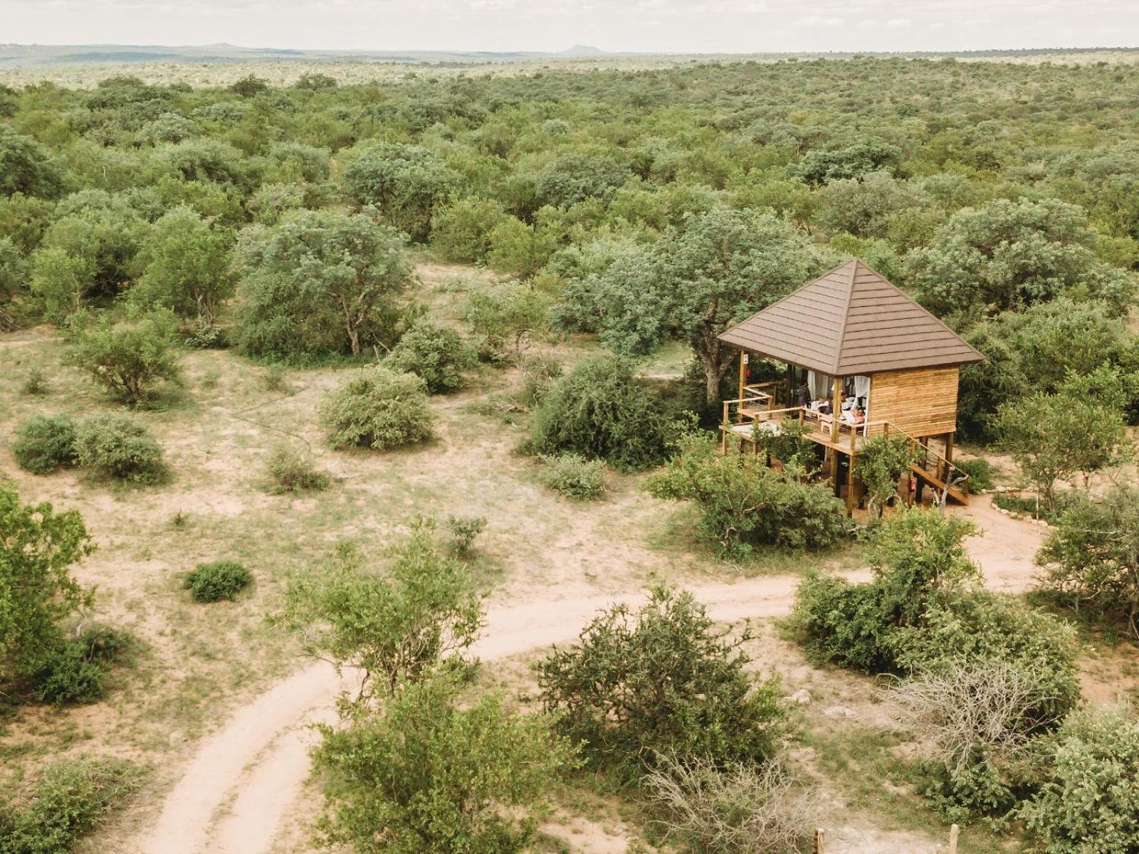 Maroelani Lodge- Greater Kruger Private Reserve Hoedspruit Rom bilde